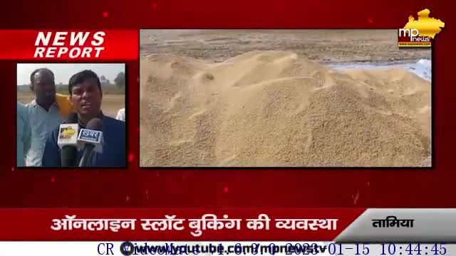 समर्थन मूल्य पर शुरू हुई धान की खरीदी, किसानों में खुशी की लहर! MP News Tamiya