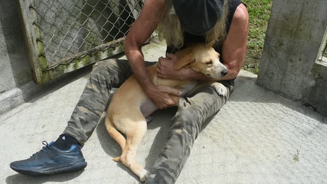 Emerald and Pearl Starving Puppies Found Recently.