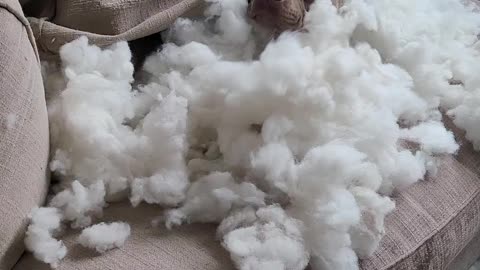 Homemade Cloud Bed