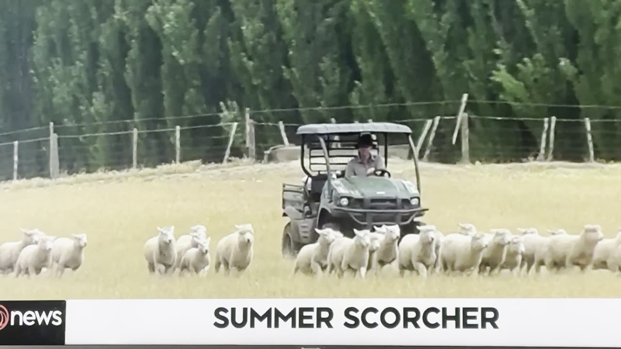 The propaganda of summer weather on our news