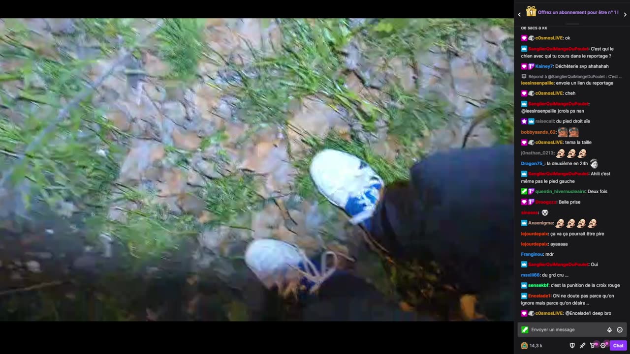 2023-02-08 (1bis.2) - Petite poubelle et prière - Twitch Meutemediatique (version avec chat)