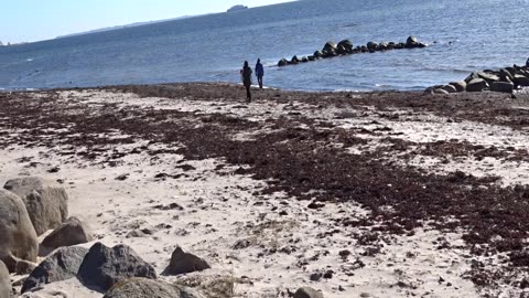 Strandpromenaden, Vikingsstrand, Fria bad. Helsingborg 24 Mars 2017