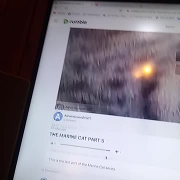 THANK YOU FOR YOU 9 LIKERS.