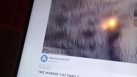 THANK YOU FOR YOU 9 LIKERS.