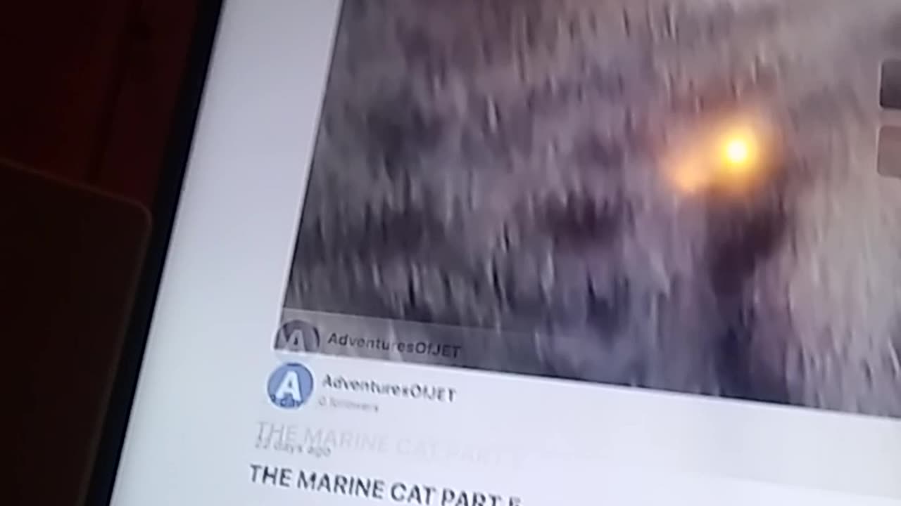 THANK YOU FOR YOU 9 LIKERS.