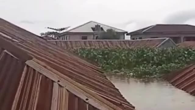 😱😱 Extreme disaster (flood covering buildings)