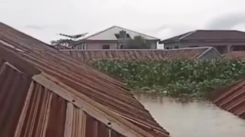 😱😱 Extreme disaster (flood covering buildings)