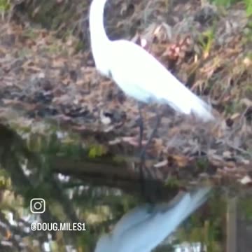 Lovely Day in Sarasota!