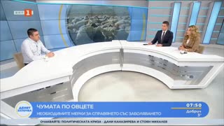 БАБХ- Проби за шарка по овцете ще се взимат само в 3-километровата зона в Сливенско