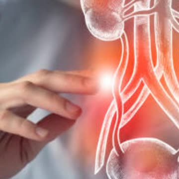 Pet Ki Problem Ka Solution