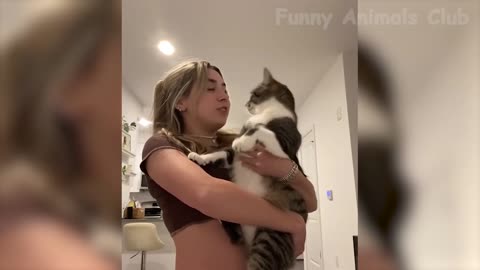 Funny Animals Compilation