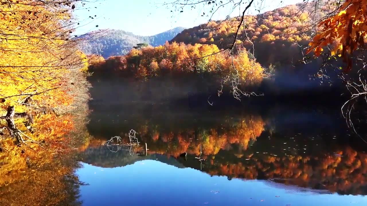 The Coloring Book of Fall - Beautiful Piano Music for Sleep – CreaVids