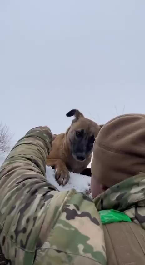 You Will Die Out There