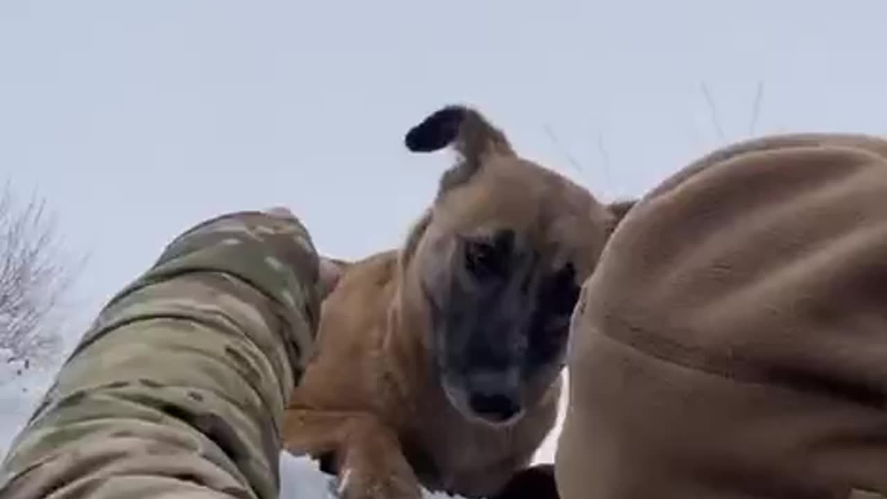 You Will Die Out There