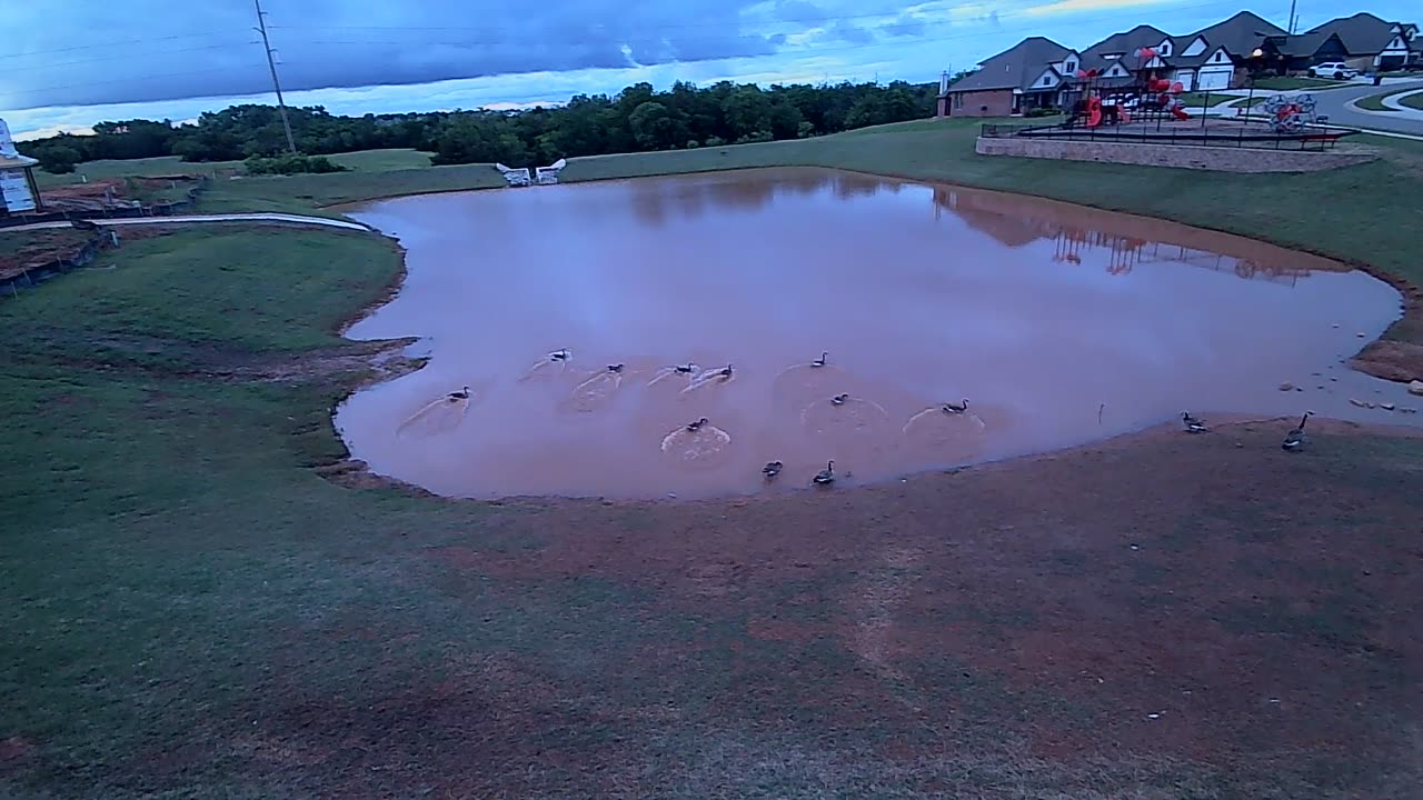 The Pond