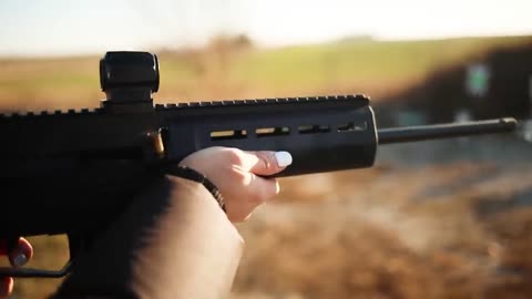 10 Best Guns Under $500