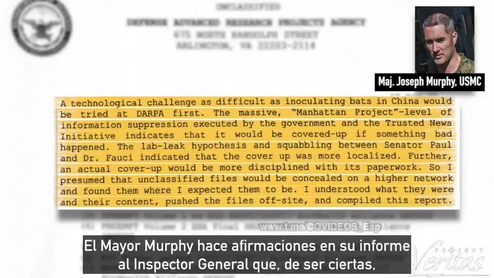 Documentos incriminatorios