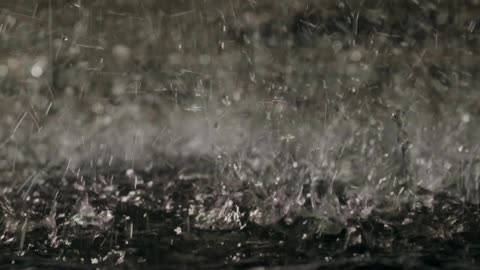 Rain