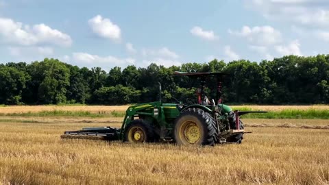 Wheat Harvest