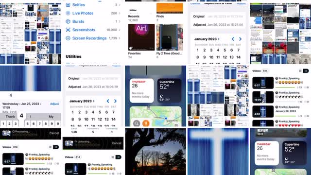 🎼🦁❤️❤️🪞❤️❤️🦁🎼