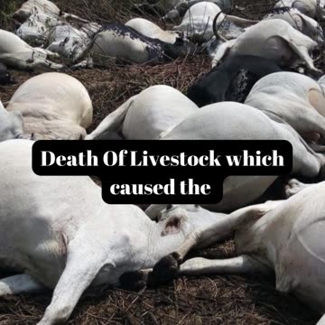 The Ten Plagues of Moses