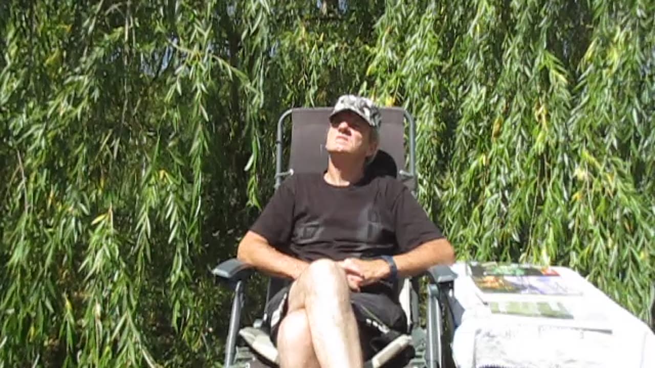 TALES FROM UNDER THE TREES