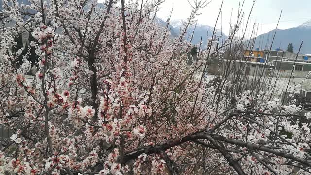 Winter Season in Misgar Hunza Pakistan