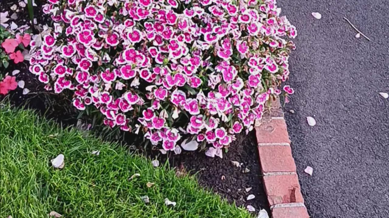 Spring colors.