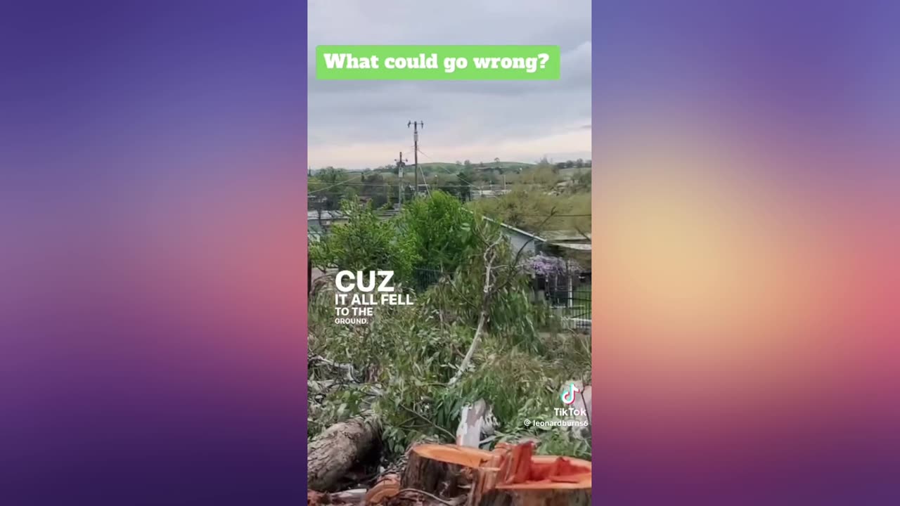 What Could Go Wrong?