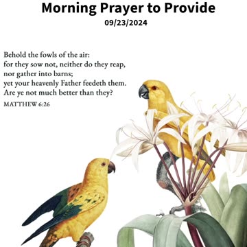 Morning Prayer to Provide #youtubeshorts #grace #jesus #mercy #faith #fyp #blessed #love #trust #joy
