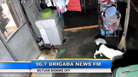 96.7 Brigada News FM Butuan Lost in Mind
