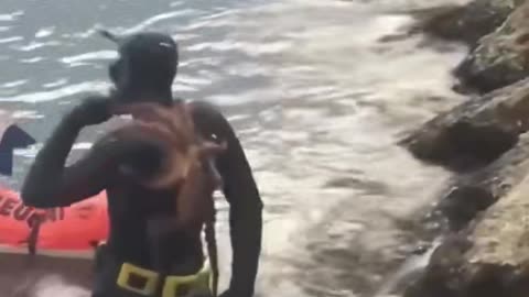 Man has an Octopus stuck on his back. What’s the best thing to do in a situation like this? 👀