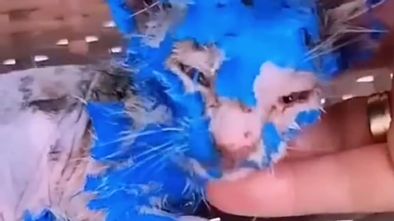 They painted her blue for fun then discarded her