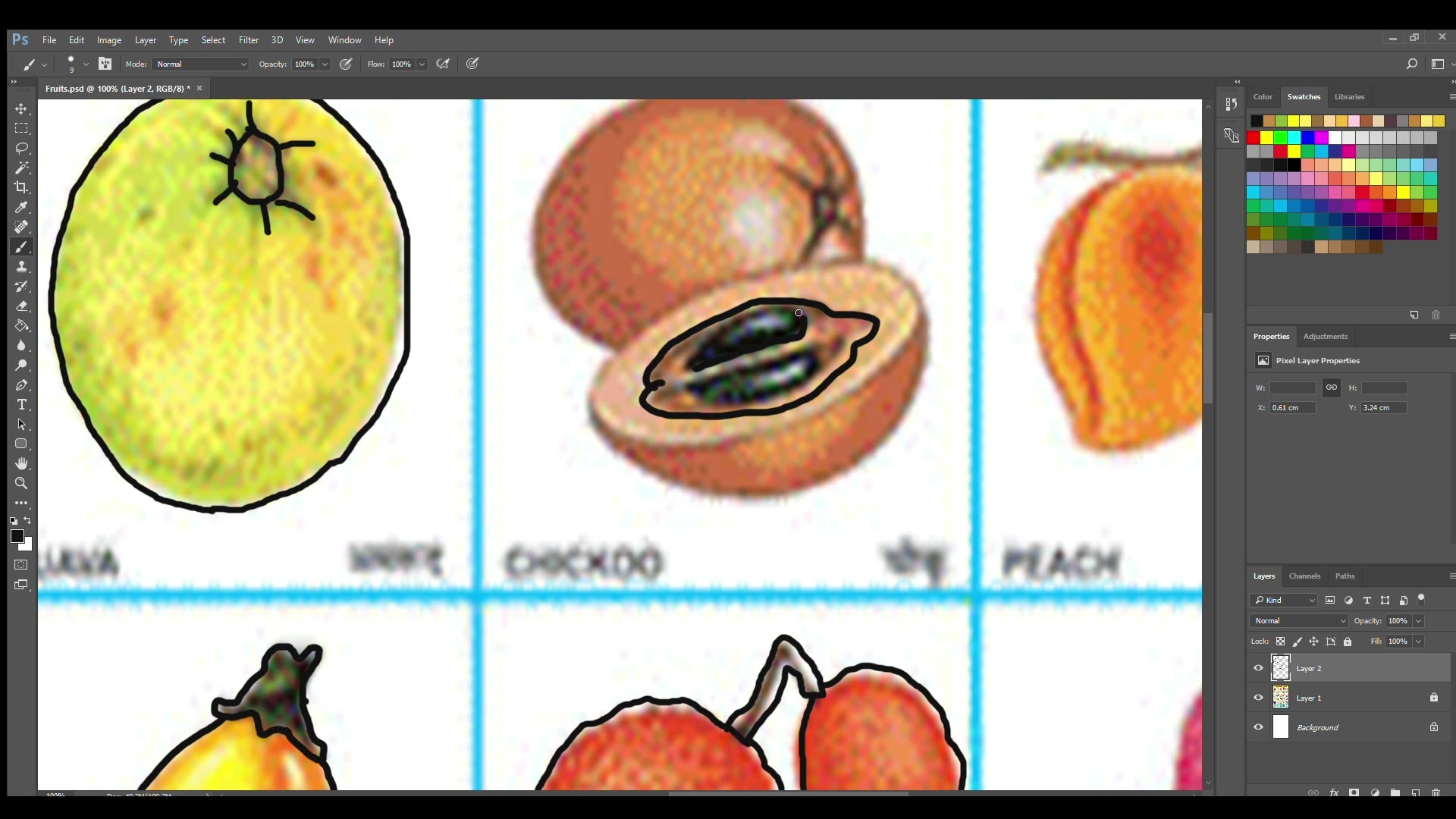 Fruits Drawing