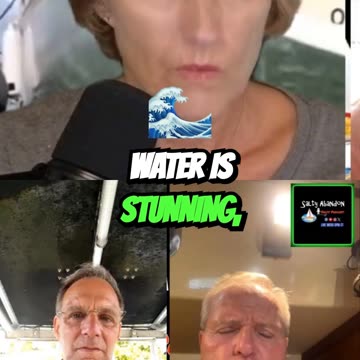 🌟 Snorkeling with Manatees in Crystal River! 🐋💦 🌟 #ManateeMagic #CrystalRiver #WildlifeAdventure