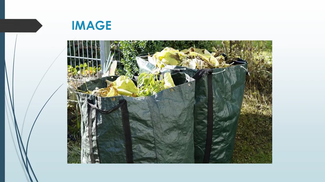 Best Waste Removal in Greenacre