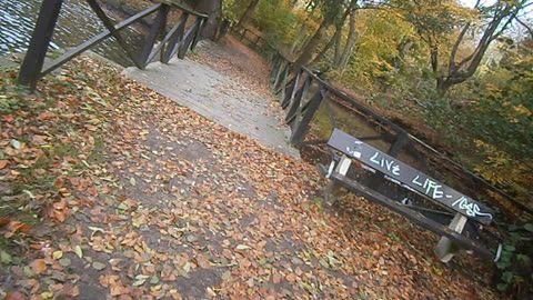 Änderna i Pålsjö damm, Helsingborg 26 Okt. 2014