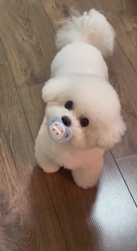 Found his binky 😊😊👍