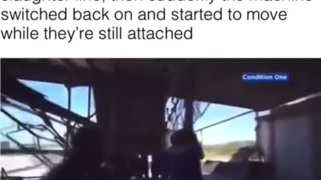 Do your research before protesting and putting your neck in a duck slaughtering machine.