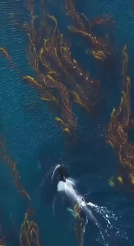 Stay as long as you need #naturalbeauty