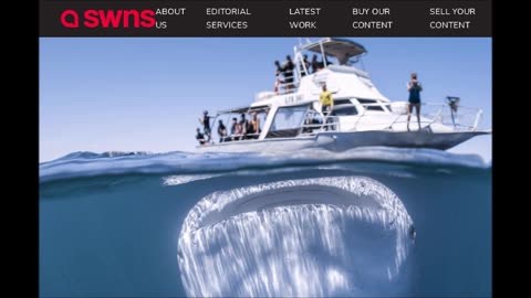 I phone a fake news agency in 2018