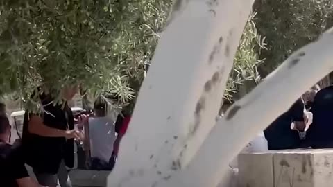 Zionist Forces Clash with Palestinians at Al Aqsa Mosque Entrance