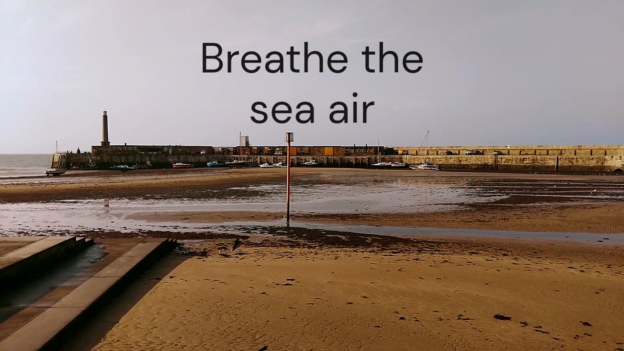 Ocean Therapy video 2