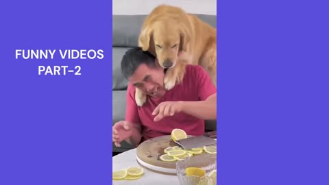 Viraal.. Funnies video Animal part 2- 2023