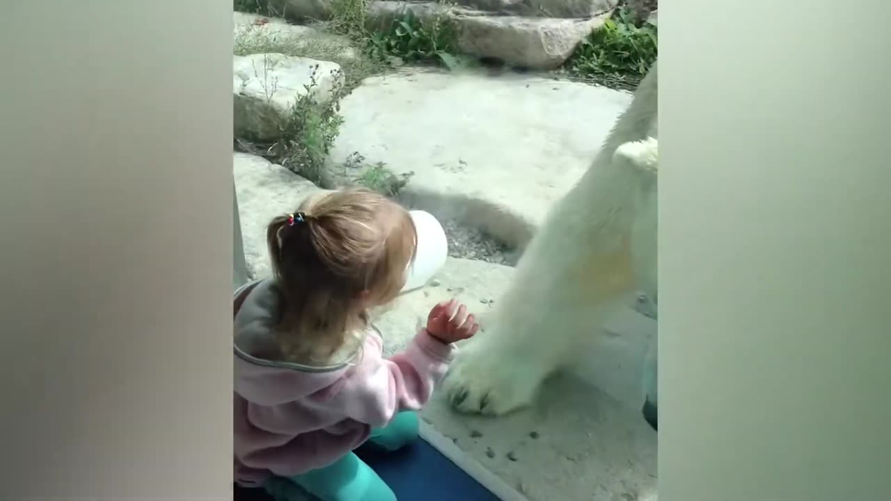 Cutest Animals New Videos _ Cutest Moments of All Animals 🤣😁😂😁