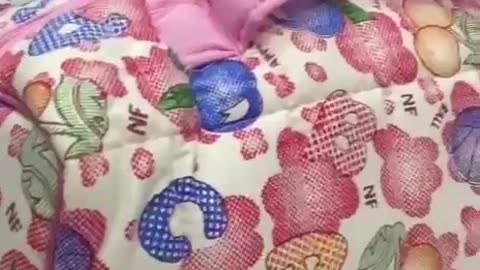 Round Shape Baby Bag