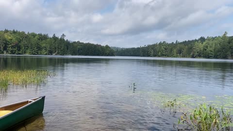 Hoel Pond, Saint Regis Canoe Area (Adirondacks State Park, NY) 8