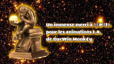 Premier Gala Dar₩in Monk€y Award 🏆🐒 2024 Version intégrale