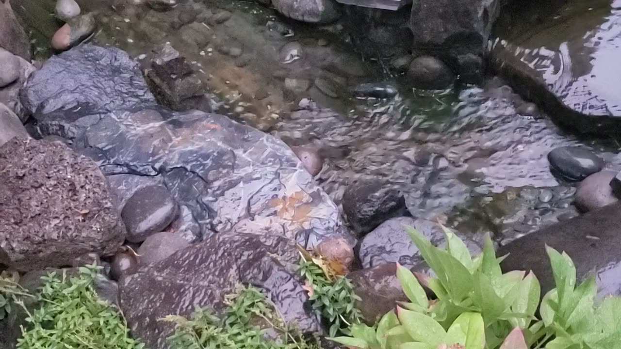 Quiet water flowing story song.