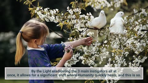 During the transition of Humanity